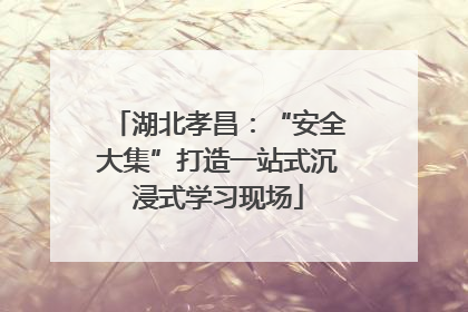 湖北孝昌：“安全大集”打造一站式沉浸式学习现场