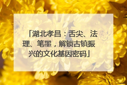 湖北孝昌：舌尖、法理、笔墨，解锁古镇振兴的文化基因密码