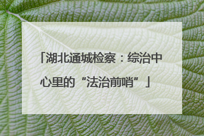 湖北通城检察：综治中心里的“法治前哨”