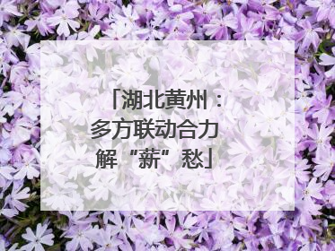 湖北黄州：多方联动合力解“薪”愁