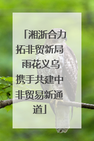 湘浙合力拓非贸新局 雨花义乌携手共建中非贸易新通道