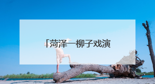 菏泽一柳子戏演员荣获梅花奖