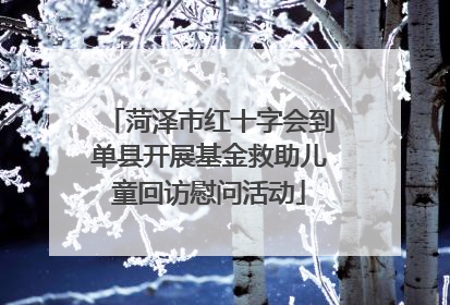 菏泽市红十字会到单县开展基金救助儿童回访慰问活动