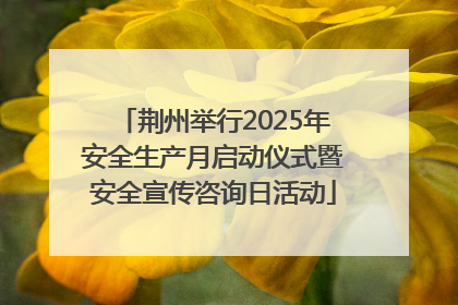 荆州举行2025年安全生产月启动仪式暨安全宣传咨询日活动