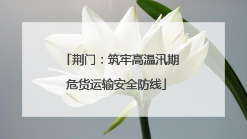 荆门：筑牢高温汛期危货运输安全防线