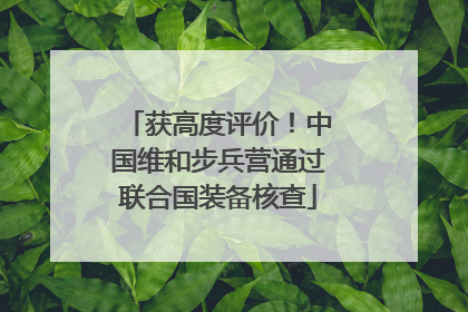 获高度评价！中国维和步兵营通过联合国装备核查