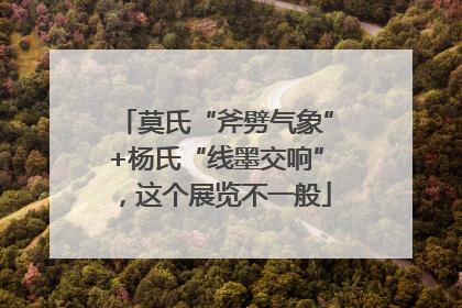 莫氏“斧劈气象”+杨氏“线墨交响”，这个展览不一般