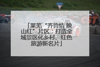 莱芜“齐鲁情 映山红”片区：打造全域景区化乡村、红色旅游新名片