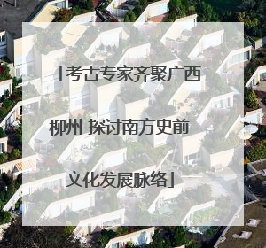 考古专家齐聚广西柳州 探讨南方史前文化发展脉络
