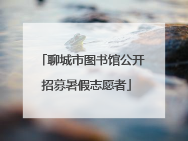 聊城市图书馆公开招募暑假志愿者