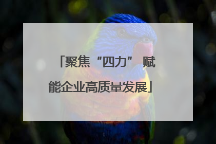 聚焦“四力” 赋能企业高质量发展