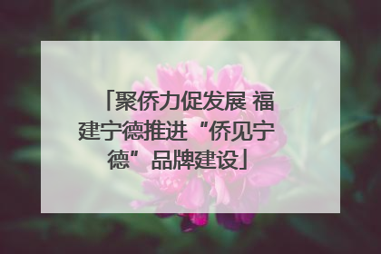 聚侨力促发展 福建宁德推进“侨见宁德”品牌建设