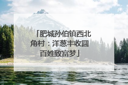 肥城孙伯镇西北角村：洋葱丰收圆百姓致富梦