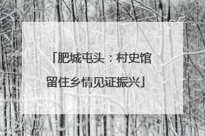 肥城屯头：村史馆留住乡情见证振兴