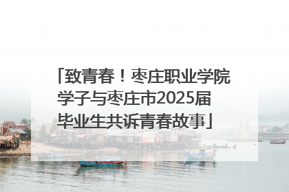 致青春！枣庄职业学院学子与枣庄市2025届毕业生共诉青春故事