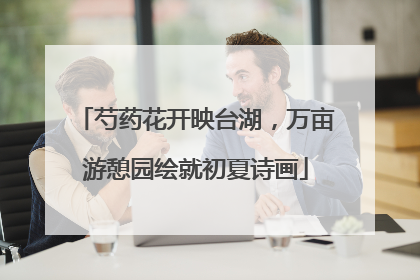芍药花开映台湖，万亩游憩园绘就初夏诗画