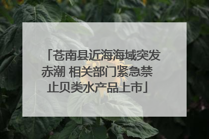 苍南县近海海域突发赤潮 相关部门紧急禁止贝类水产品上市