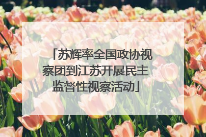 苏辉率全国政协视察团到江苏开展民主监督性视察活动