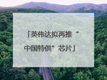 英伟达拟再推“中国特供”芯片