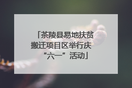 茶陵县易地扶贫搬迁项目区举行庆“六一”活动