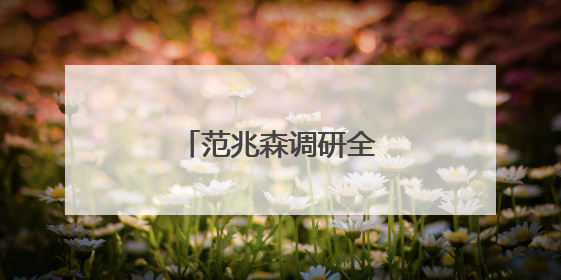 范兆森调研全市就业工作