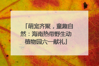 萌宠齐聚，童趣自然：海南热带野生动植物园六一献礼