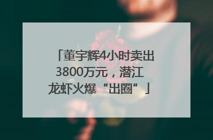 董宇辉4小时卖出3800万元，潜江龙虾火爆“出圈”