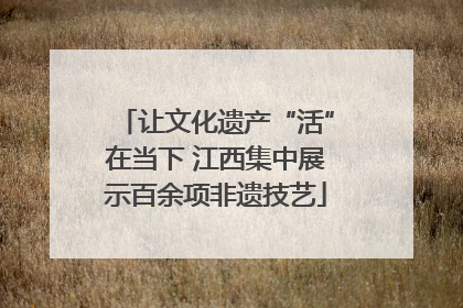 让文化遗产“活”在当下 江西集中展示百余项非遗技艺