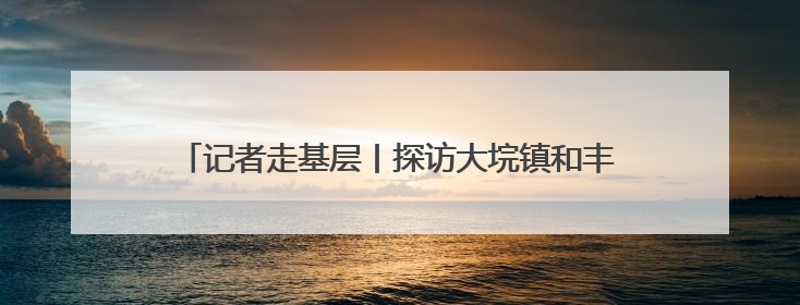 记者走基层丨探访大垸镇和丰村土地“三统一分”运营机制