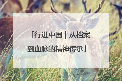 行进中国｜从档案到血脉的精神传承