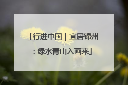 行进中国｜宜居锦州：绿水青山入画来