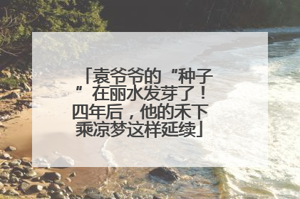袁爷爷的“种子”在丽水发芽了！四年后，他的禾下乘凉梦这样延续