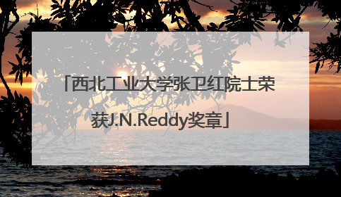 西北工业大学张卫红院士荣获J.N.Reddy奖章