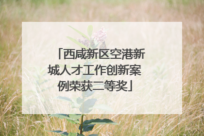 西咸新区空港新城人才工作创新案例荣获二等奖