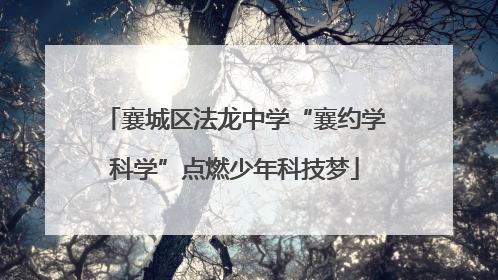 襄城区法龙中学“襄约学科学”点燃少年科技梦