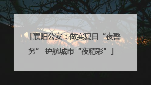 襄阳公安：做实夏日“夜警务” 护航城市“夜精彩”