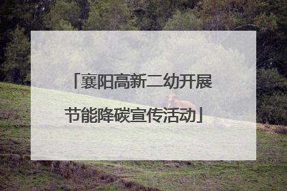 襄阳高新二幼开展节能降碳宣传活动