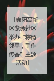 襄阳高新区紫薇社区举办“粽情邻里，手作传香”主题活动