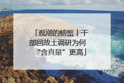 观潮的螃蟹丨干部回故土调研为何“含真量”更高