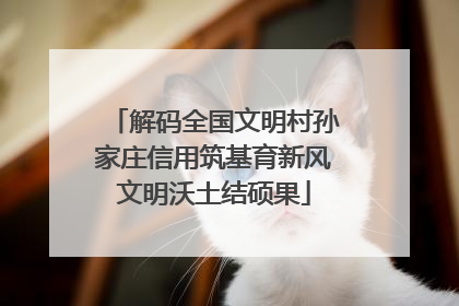解码全国文明村孙家庄信用筑基育新风文明沃土结硕果