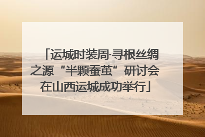 运城时装周·寻根丝绸之源“半颗蚕茧”研讨会在山西运城成功举行
