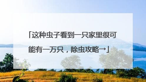 这种虫子看到一只家里很可能有一万只，除虫攻略→