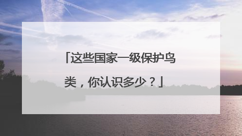这些国家一级保护鸟类，你认识多少？
