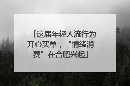 这届年轻人流行为开心买单，“情绪消费”在合肥兴起