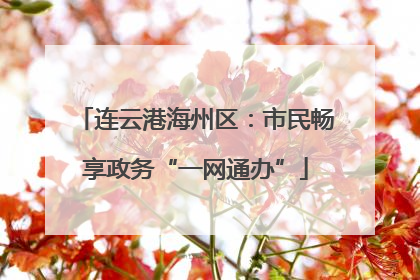 连云港海州区：市民畅享政务“一网通办”