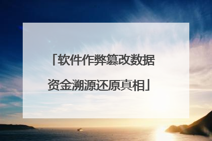 软件作弊篡改数据 资金溯源还原真相