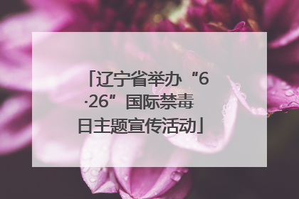 辽宁省举办“6·26”国际禁毒日主题宣传活动