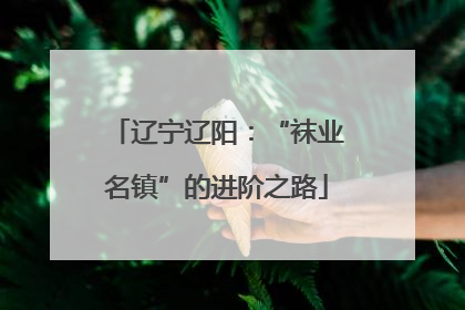 辽宁辽阳：“袜业名镇”的进阶之路