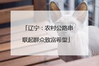 辽宁：农村公路串联起群众致富希望
