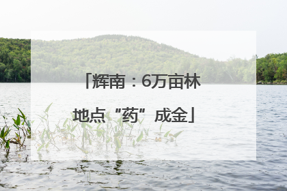 辉南：6万亩林地点“药”成金